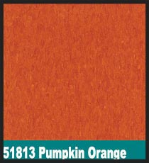 51813 Pumpkin Orange